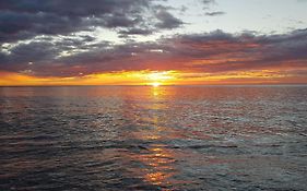La Niña del Mar